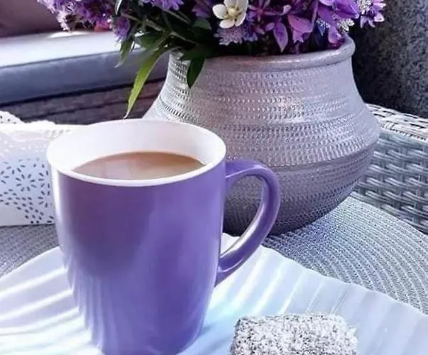 Warm In The Center Of City