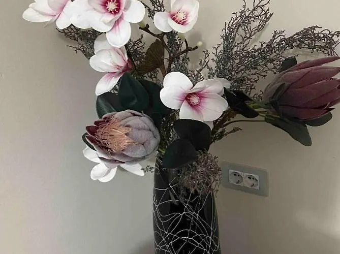 Apartment Warm In The Center Of City Tirana