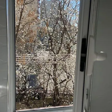 Apartment Warm In The Center Of City