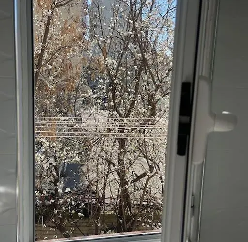 Apartament Warm In The Center Of City