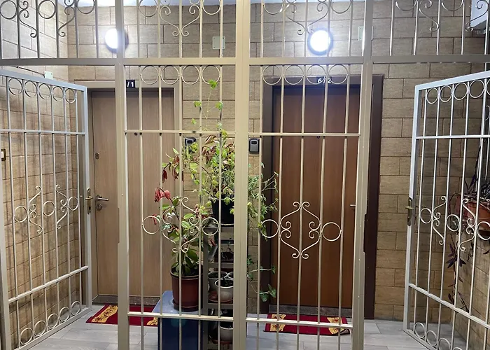 Warm In The Center Of City Tirana